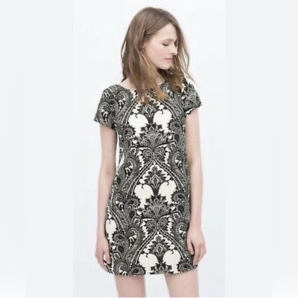 Zara Monochrome Paisley Dress